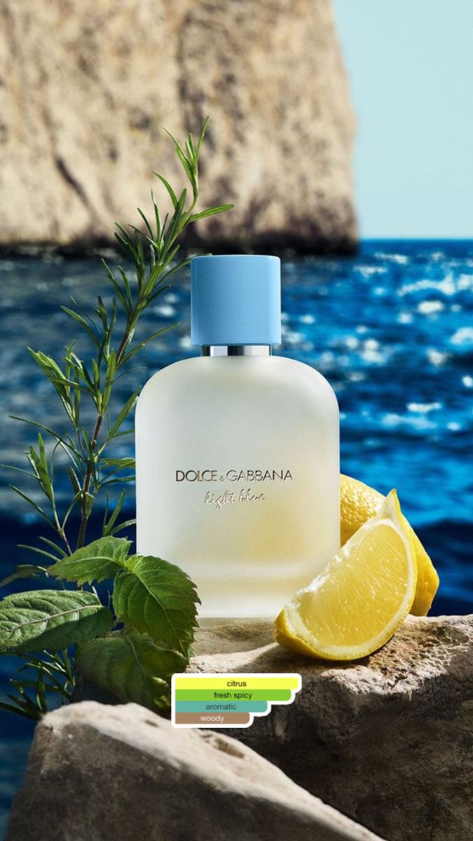 Light Blue Pour Homme Cologne 2.5 oz / 75 ml EDT Spray for Men
